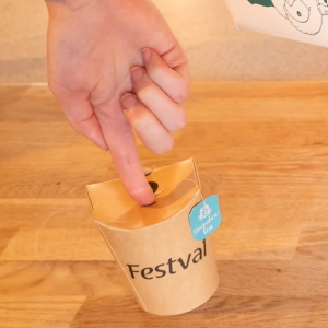 Festival 3